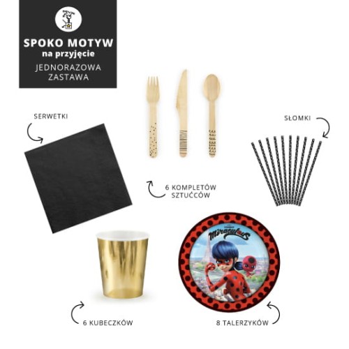 BIEDRONKA-komplet-jednorazowej-zastawy-2.jpg