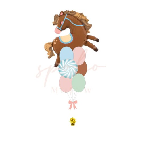 Balonowy bukiet z helem, Urodziny, KONIE (odbiór osobisty, dostawa, Kraków)