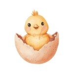 Dekoracja wielkoformatowa PISKLAK W SKORUPCE, 79x95cm (Wybierz materiał: PCW 3mm (cięcie po obrysie, wykończenie matowe, bez nóżki))