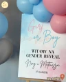 Sztaluga z balonami, GENDER REVEAL, BOY OR GIRL (odbiór osobisty, dostawa, Kraków)