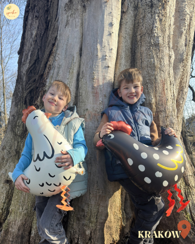 Balon foliowy Kurka, biała, chodzący | WIELKANOC | FARMA + HEL (odbiór osobisty, dostawa, Kraków)