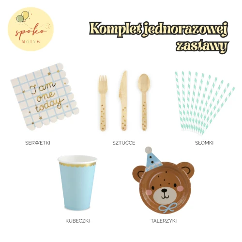 Komplet jednorazowej zastawy, MIŚ