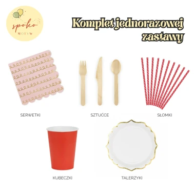 TRUSKAWKA - komplet jednorazowej zastawy na 6 osób