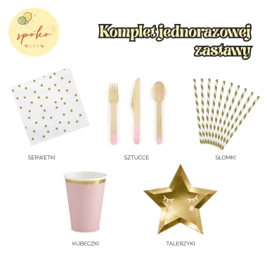 JEDNOROŻEC / RÓŻ - komplet jednorazowej zastawy na 6 osób